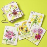 The Wall Flowers Wall Card Set