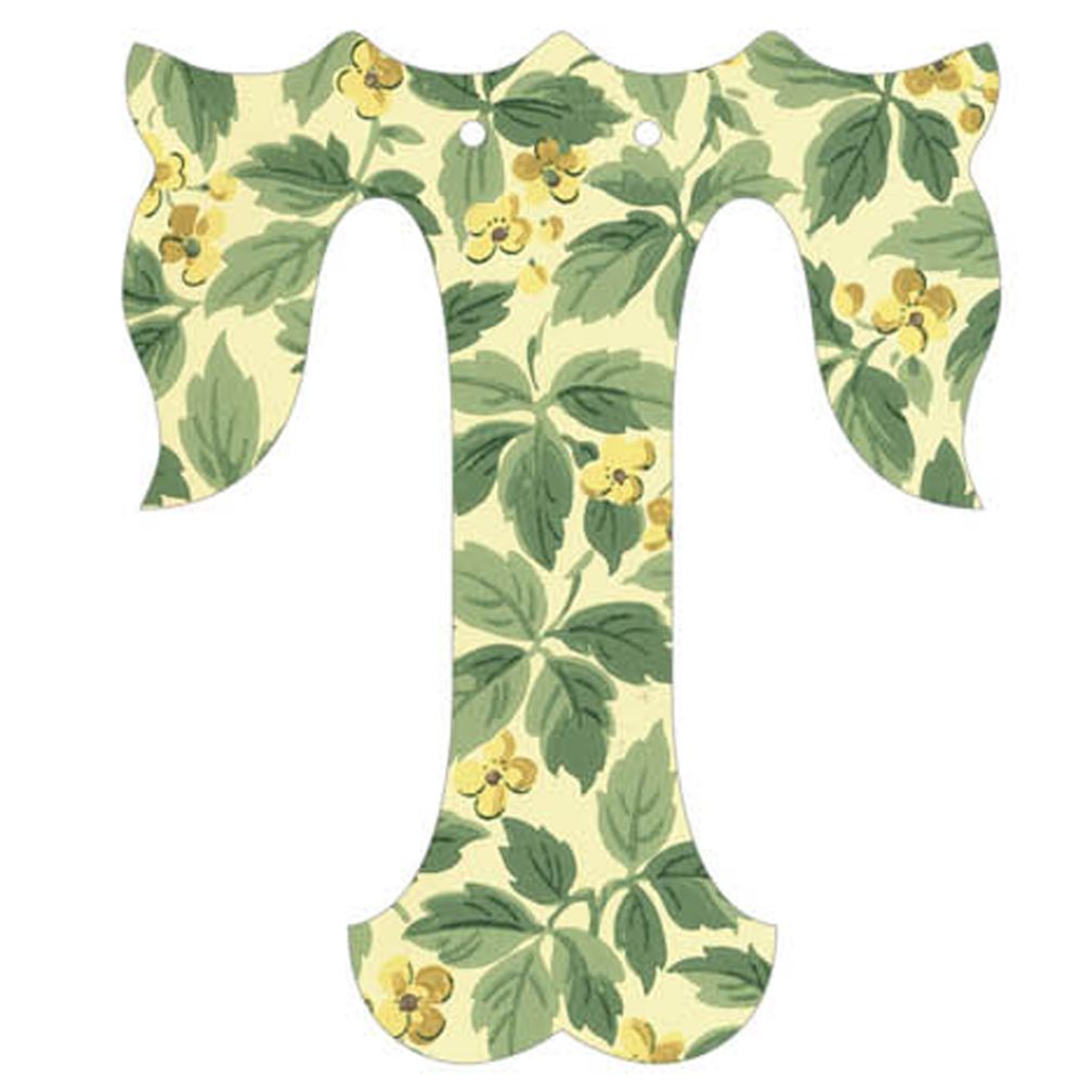 T Fancy Font Wallpaper Letter