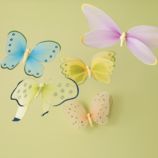 Madame Butterflies