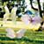 1701604_HangingButterfly