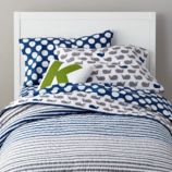 New School Kids Quilt (Make a Splash)