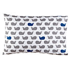 Make a Splash Whale Case