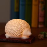 Woodland Nightlight (Hedgehog)