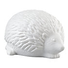Hedgehog Woodland Nightlight