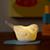 193895_Nightlight_Woodland_Bird_on