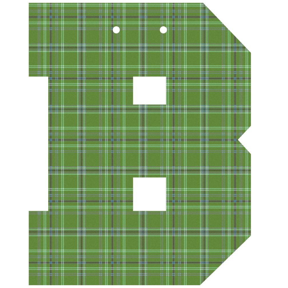 Varsity Letter B