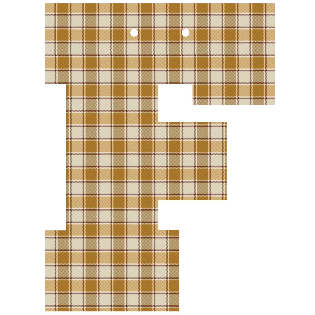 Varsity Letter F