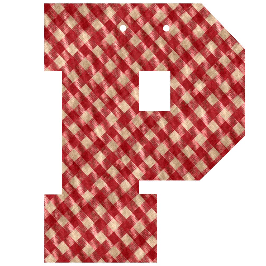Varsity Letter P