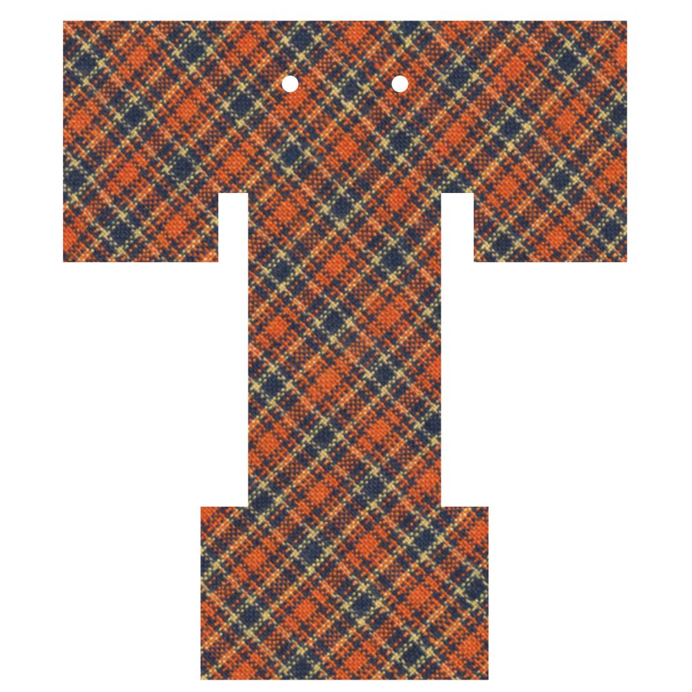 Varsity Letter T