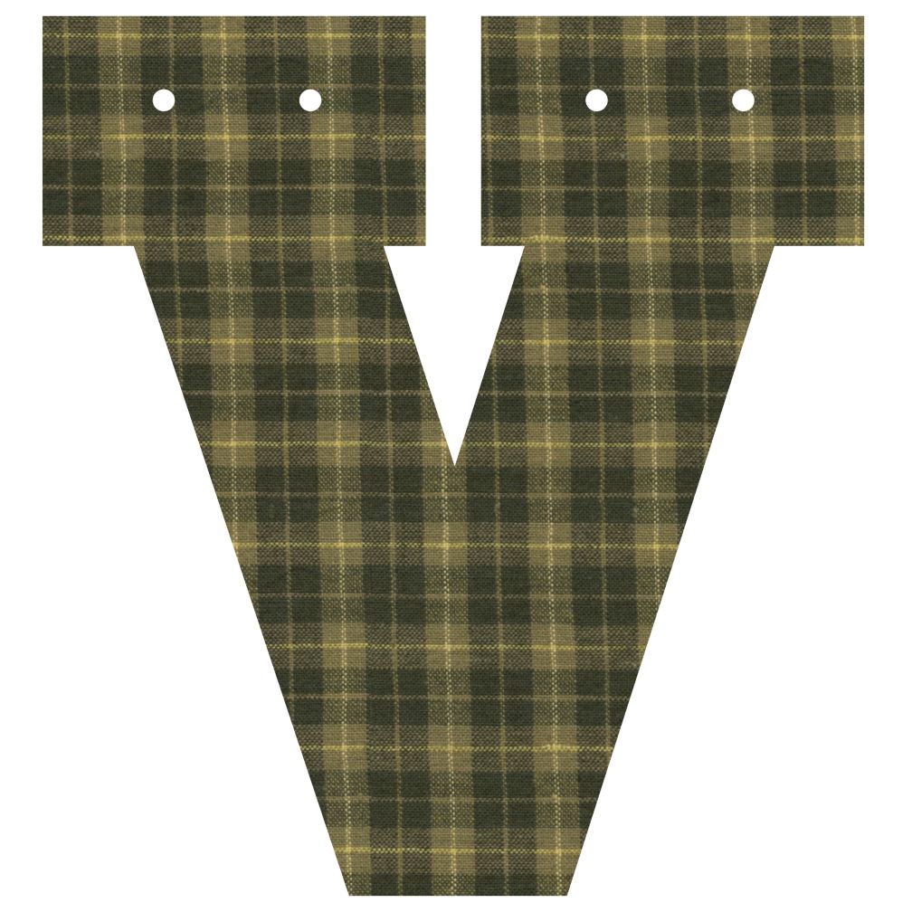 Varsity Letter V
