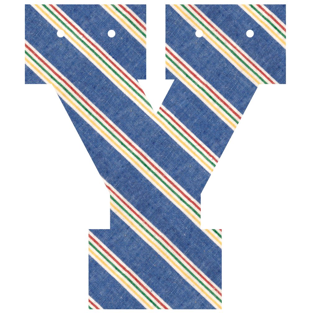 Varsity Letter Y