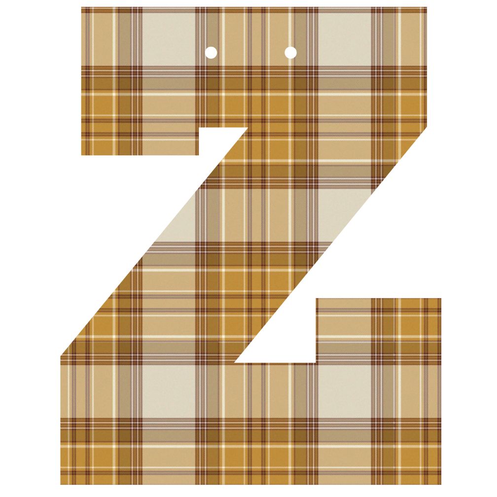 Varsity Letter Z