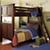 5003183_choco_waldenbunk_ALT_F109