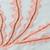 506036_CR_Marine_Queen_Detail_01