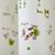506702_Curtain_Moo_Detail_03_1