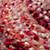 518271_Rug_Ribbon_PI_Detail_07