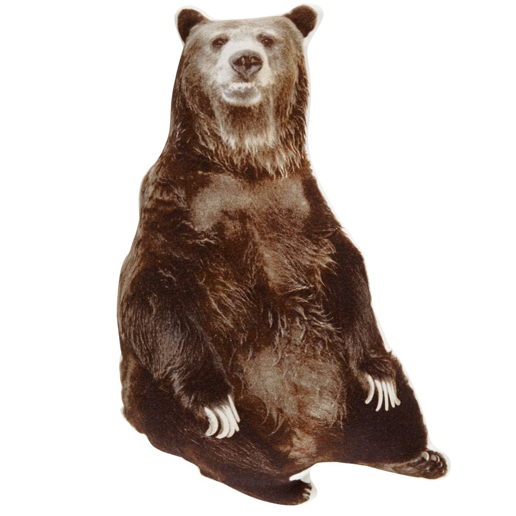 Bear Throw Pillow