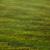 519707_Rug_Field_Green_Detail_01
