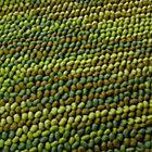 Swatch  Field of Greens Rug