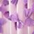 521787_Curtain_Bow_Tied_LA_Detail_04