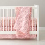 Mosaic Paisley Crib Bedding (Pink)
