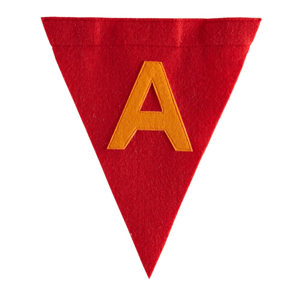 A Print Neatly Pennant Flag (Boy)