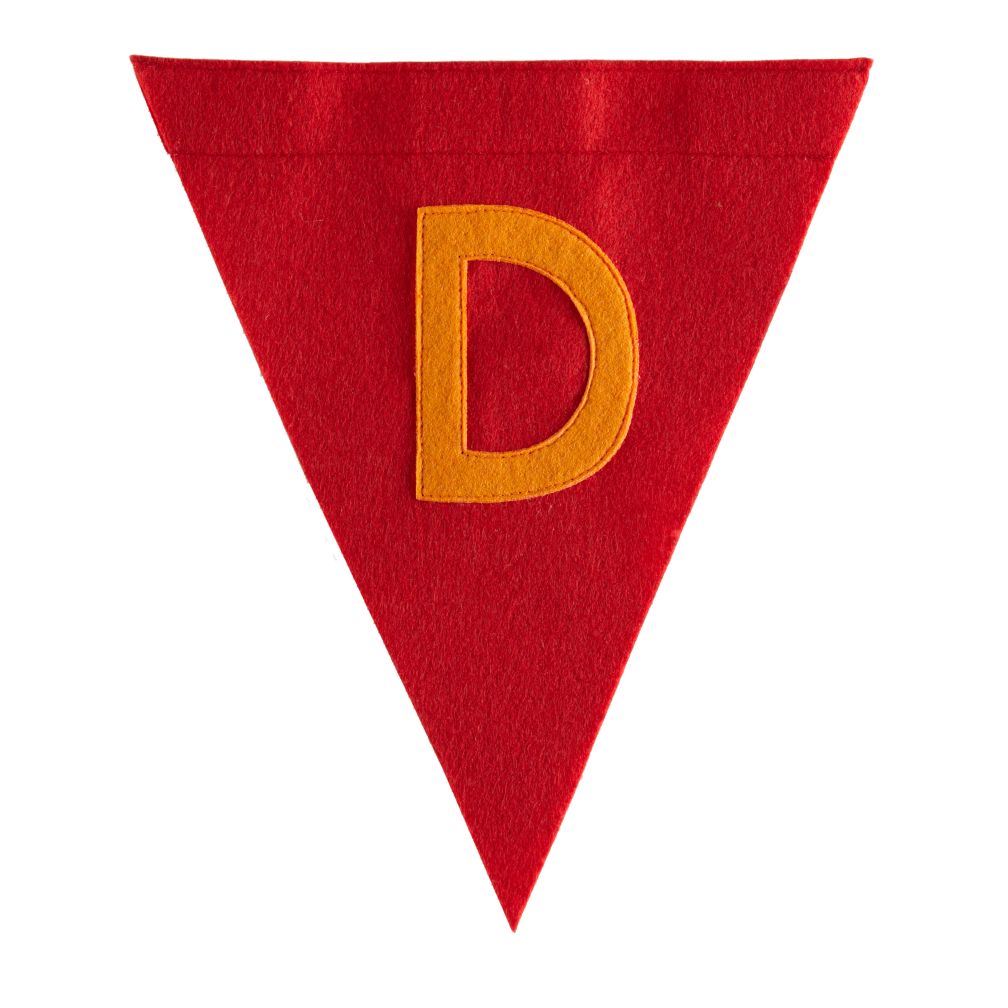 D Print Neatly Pennant Flag (Boy)