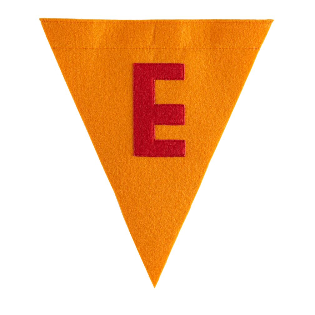 E Print Neatly Pennant Flag (Boy)