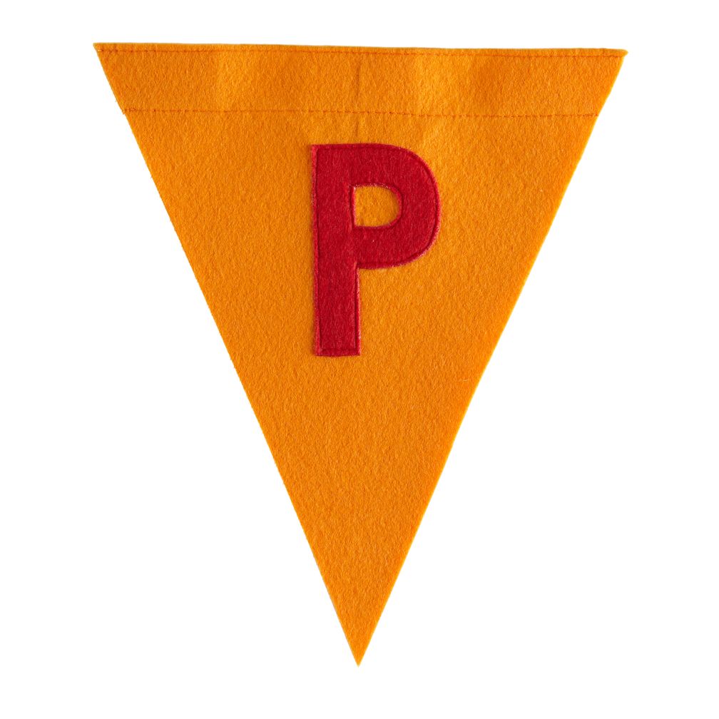 P Print Neatly Pennant Flag (Boy)
