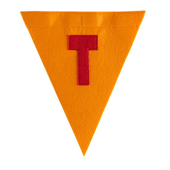 562874_Letter_Felt_Boy_T