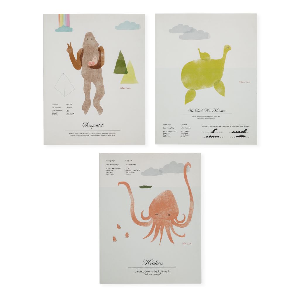 Set of 3 Rare Sightings Wall Art