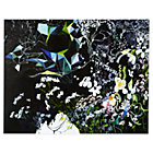 Secret Garden Wall Art