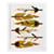 669741_NOD_IA_FR_Bird_Feather_V2