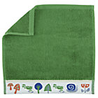 Froggy Washcloth