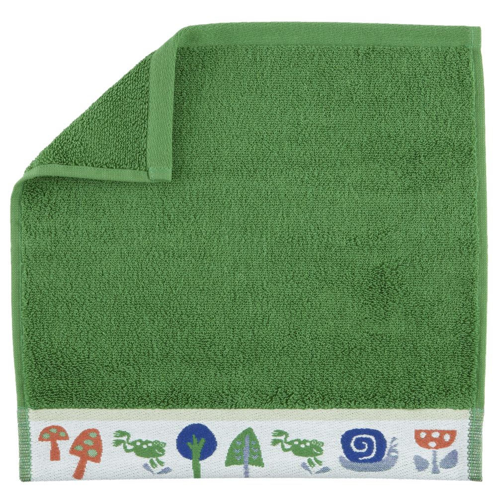 Froggy Washcloth