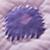 Bedding_Bazaar_Detail_01_1111