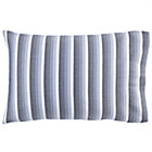 Blue Herringbone Case