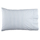 Blue Stripe Case
