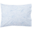 Blue Waves Case