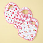 Butterfly Snap Bibs (Set of 3)