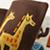 Book_Felt_Counting_Detail_V5