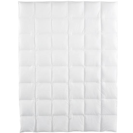 Comforter_LineLevel