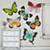 Decal_Butterfly_Group