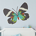 Blue Moth Butterfly Decal