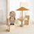 Dollhouse_Modern_Group_V6