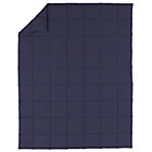 Twin Blue Comforter