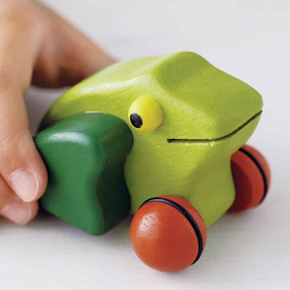 Kiss That Frog Push Toy