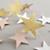 Garland_Starry_Detail