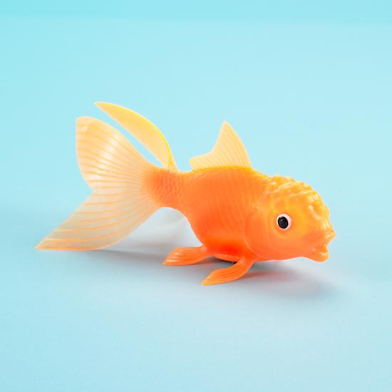 Goldfish