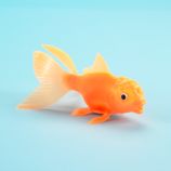 All That Glitters Is Goldfish